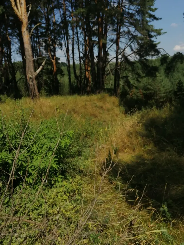 Продажа земельного участка 8 ГА — фото 4
