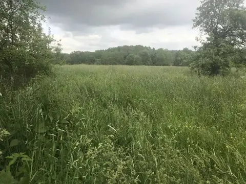 Земельна ділянка, в с. Летня