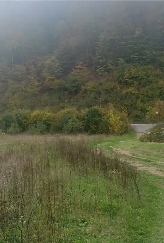 Участок, земля під комерційну діяльність — фото 1