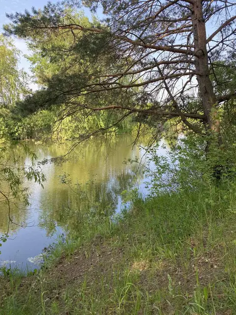 Продам готовий бізнес