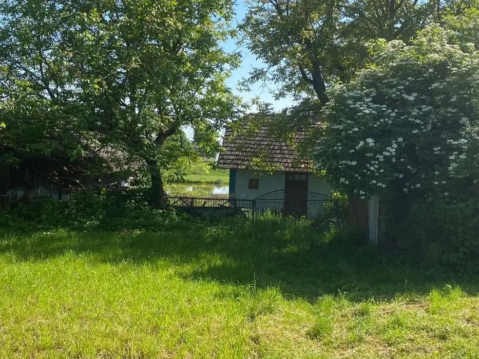 Продаж будинку в с. Грімне — фото 2
