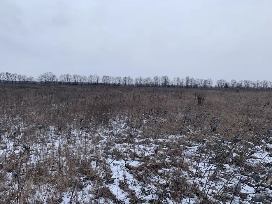 Земельна ділянка Проців — фото 3