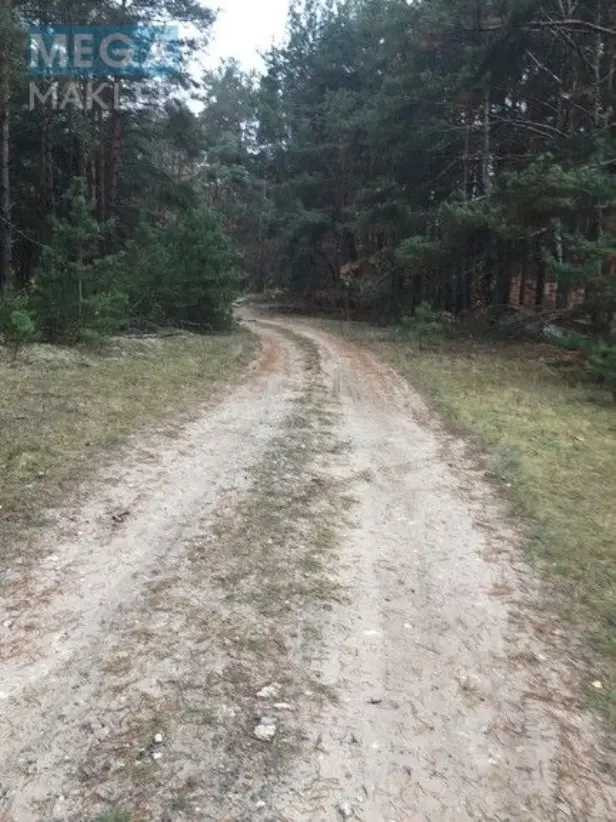 Продам участок возле леса с. Старое — фото 4