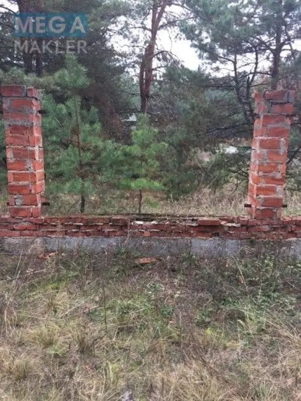 Продам участок возле леса с. Старое — фото 5