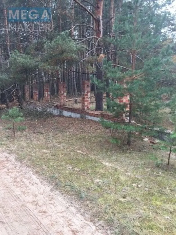 Продам участок возле леса с. Старое — фото 1