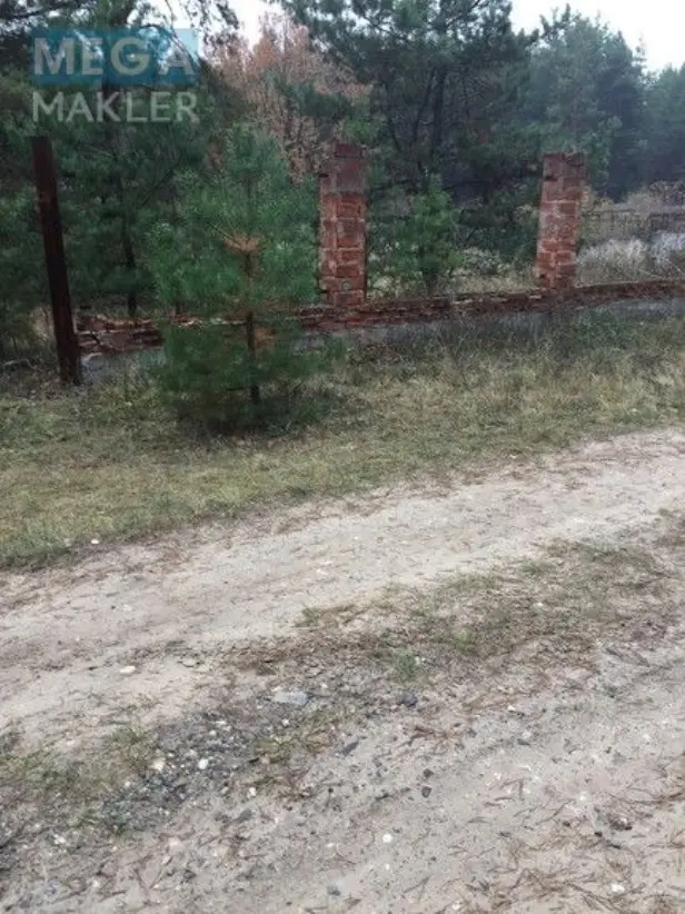 Продам участок возле леса с. Старое — фото 3
