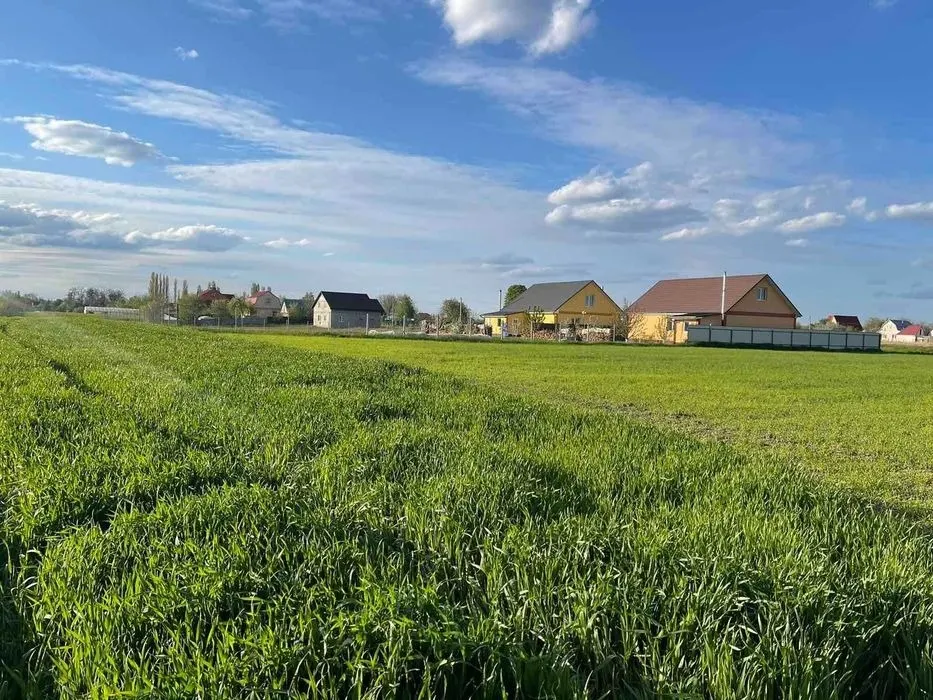 Терміново. Земельна ділянка 25 сот с. Глибоке — фото 1