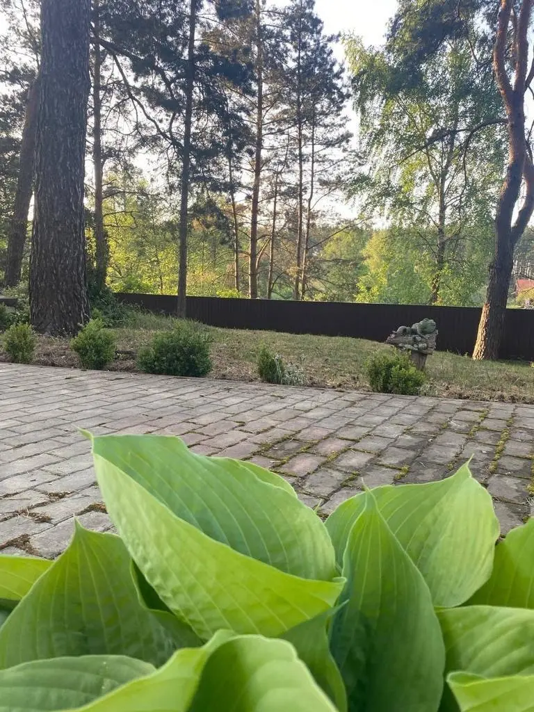 Заміський будинок посеред соснового лісу в с. Березівка — фото 3