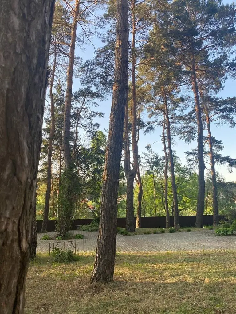 Заміський будинок посеред соснового лісу в с. Березівка — фото 2