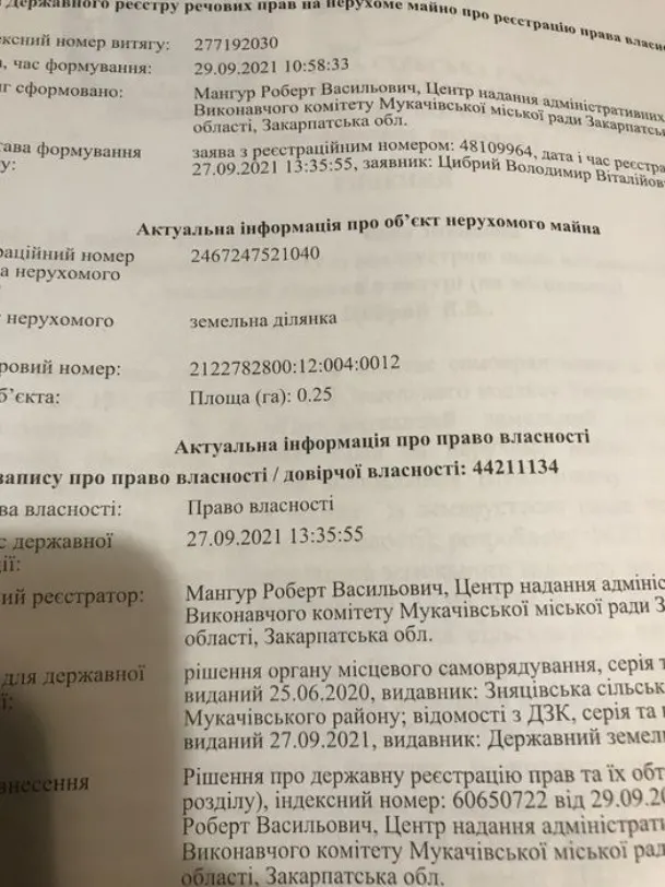 Земельна ділянка 25 сот с. Драгиня — фото 1
