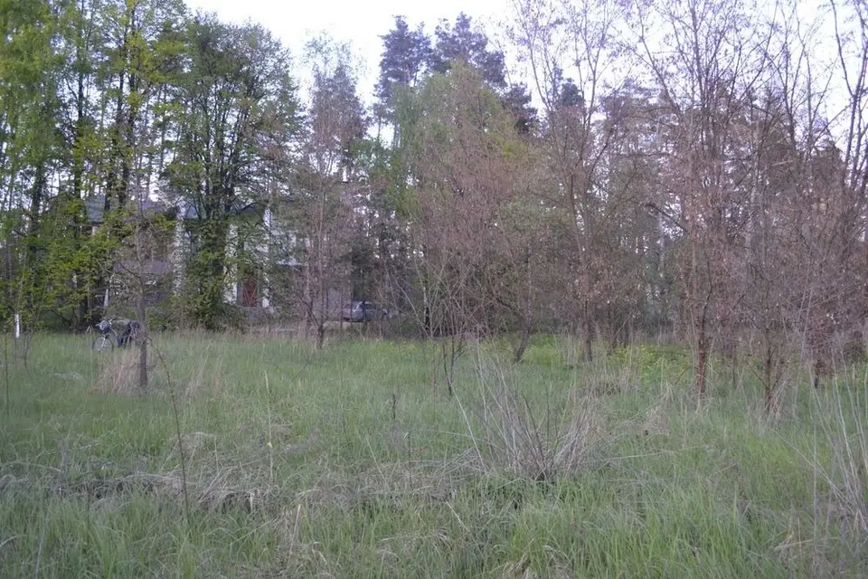 Ворзель (Кичеїво, Мих-Рубежівка) 10 сот. Від Власника — фото 3