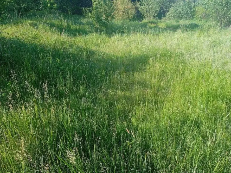 Продаю незавершене будівництво пром будівлі, ділянка 1,5 га, Свалява — фото 4