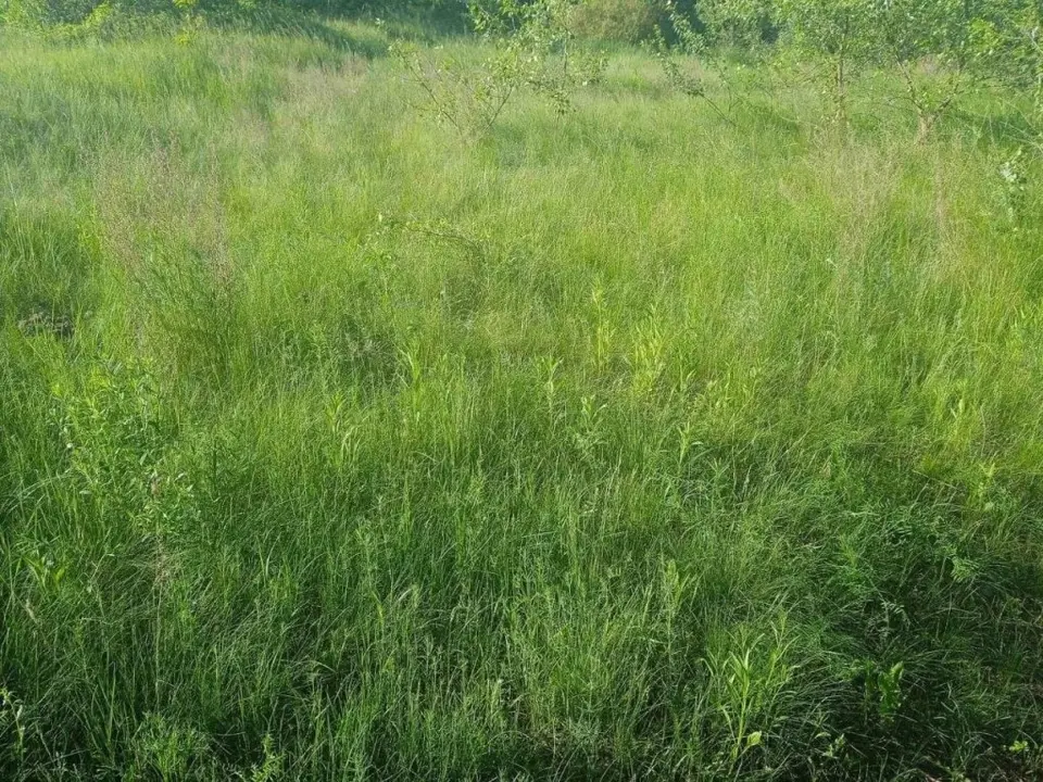 Продаю незавершене будівництво пром будівлі, ділянка 1,5 га, Свалява — фото 5
