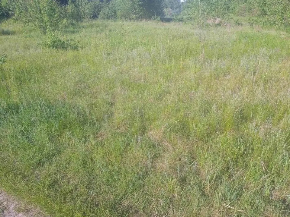 Продаю незавершене будівництво пром будівлі, ділянка 1,5 га, Свалява — фото 3