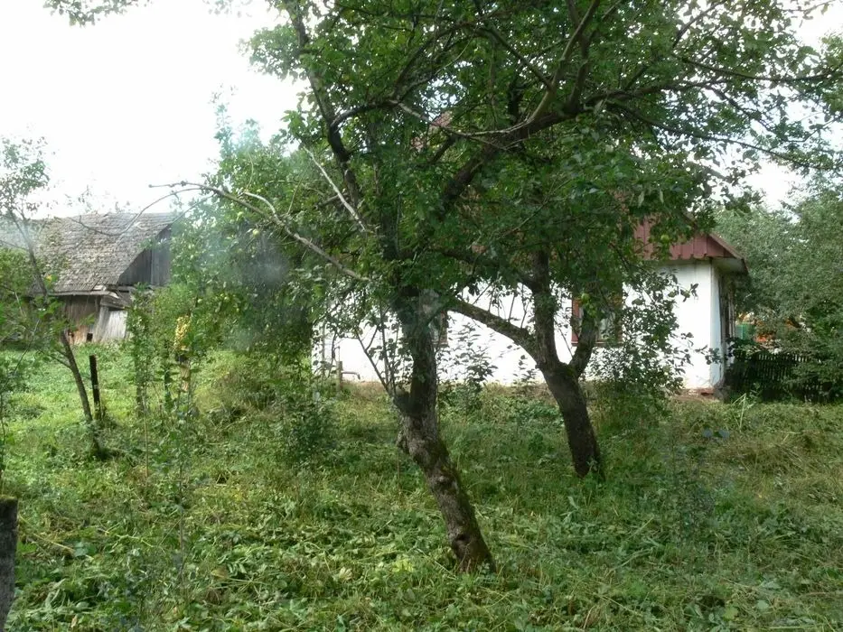Земельна ділянка Стрий-с.Конюхів 0,5 Га — фото 4