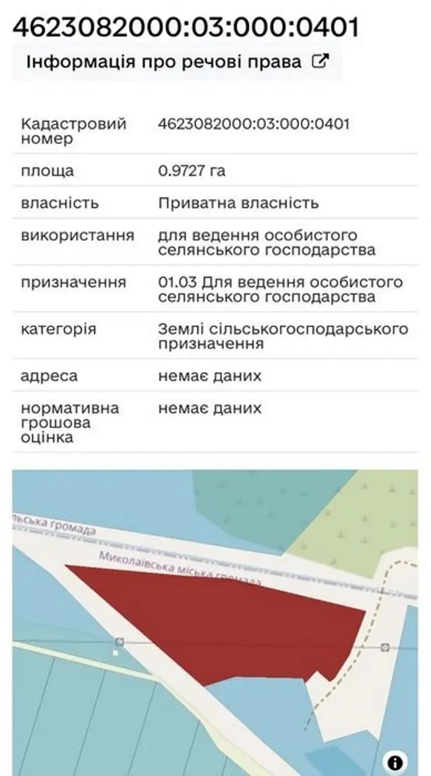 Земельна ділянка 97 сот в с. Дроговиж — фото 3