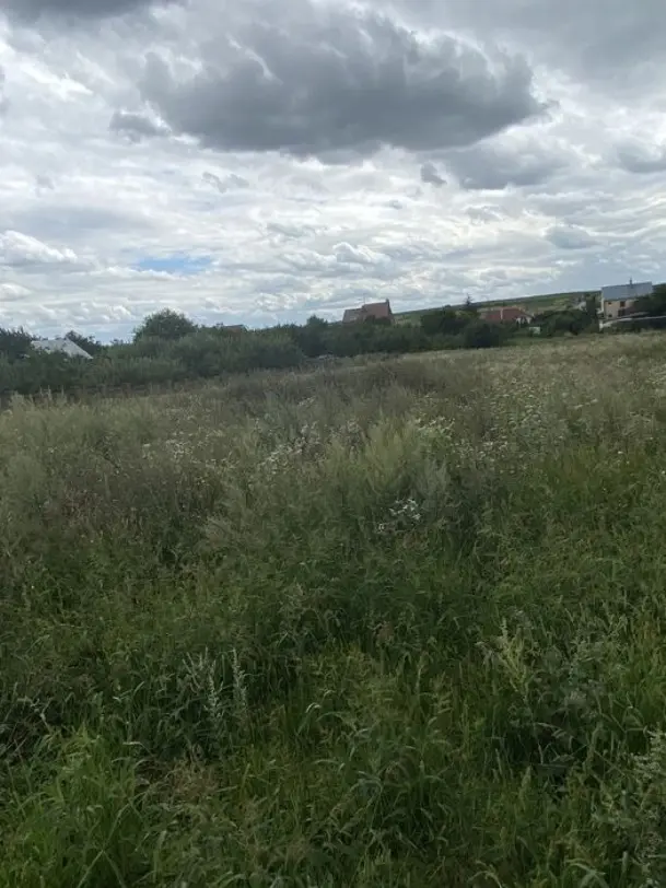 Земельна ділянка в Ременові — фото 2