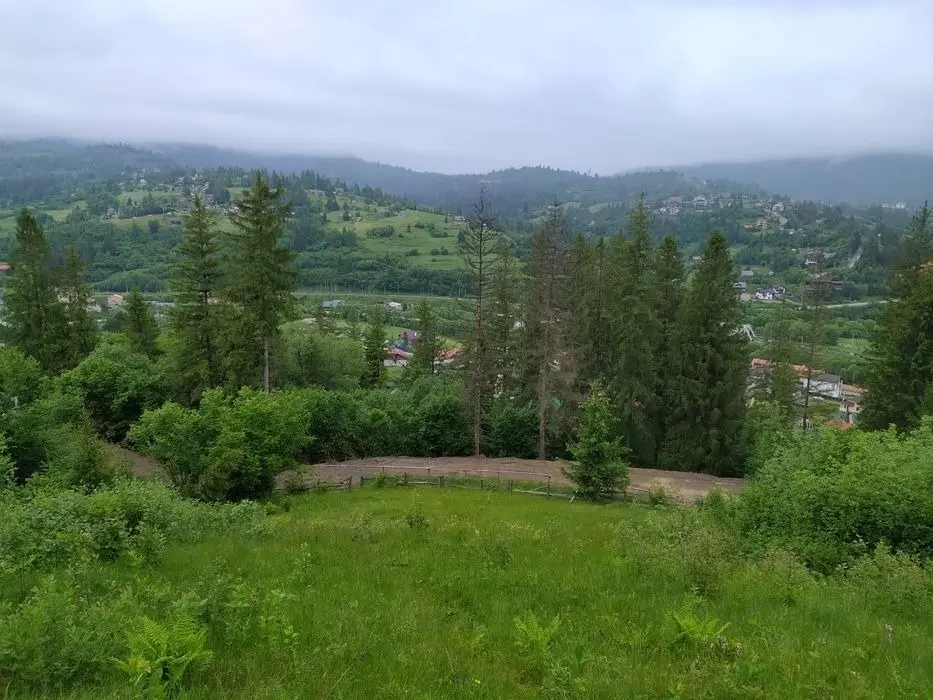 Продається земельна ділянка з документами у Славське від власника 40сот — фото 4