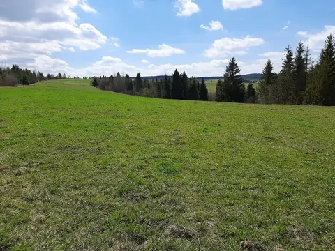 Земля Карпати 1,3га 65 дол/сотка ТОРГ