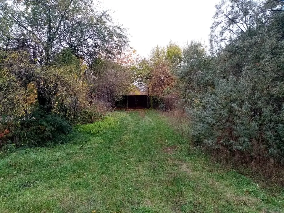 Продам участок 2 ГА с. Литвиновка — фото 4