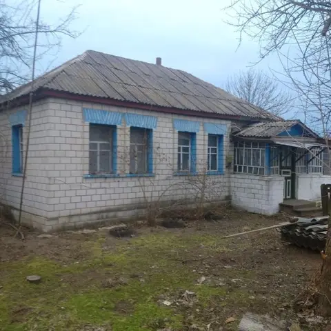 Продам будинок у с. Русанів