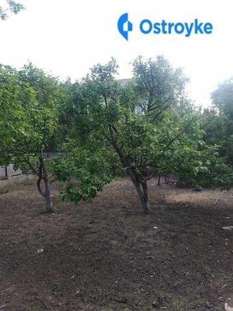 Фото 2 Продаж Квартир 