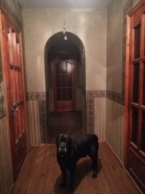 Фото 1 Продаж Квартир Продам четырехкомнатную квартиру в центре.