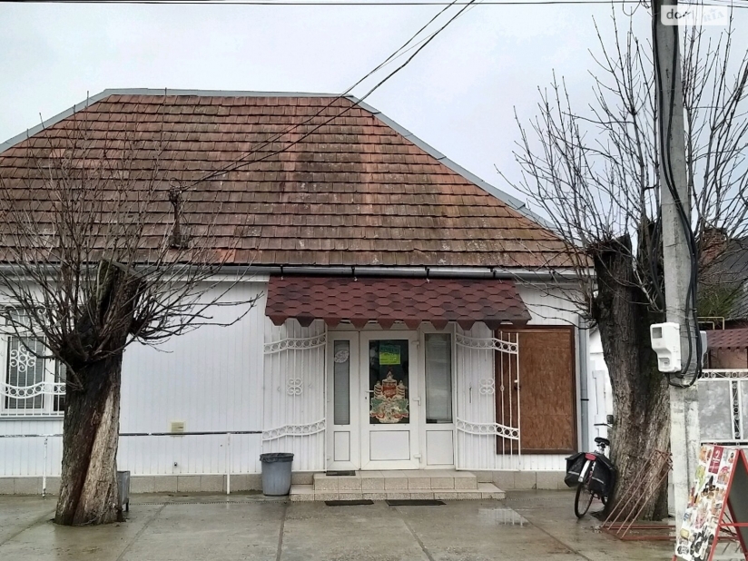 Фото 1 Продаж Квартир Продаж 1 поверхового будинку з верандою 99.3 кв. м селище Вилок