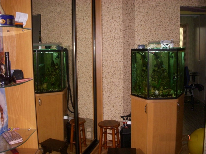 Фото 5 Продаж Квартир Продам двухкомнатную квартиру в Суворовском районе