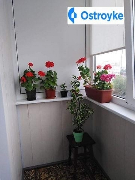 Фото 3 Продаж Квартир Таращанська